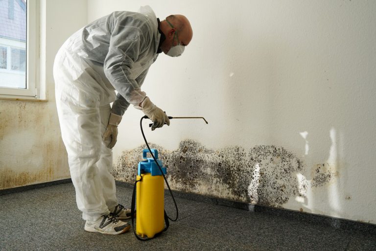 Comment stopper l'humidité dans un mur ?